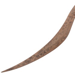 Epée à deux mains Bloodhound's Fang dans Elden Ring