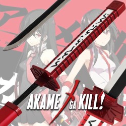 La Katana d'acciaio di Akame in Akame Ga Kill