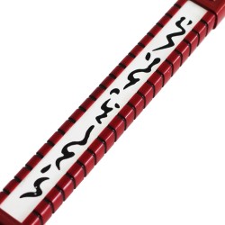 La Katana d'acciaio di Akame in Akame Ga Kill