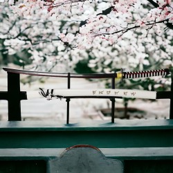 Katana Japonais Traditionnel Sakura Edition Samourai