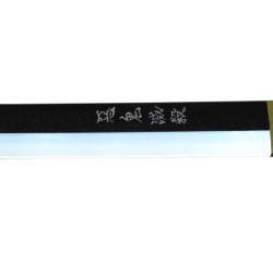 Katana LED RGB Couleur Modulable de Muichiro Tokito dans Demon Slayer